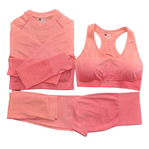 Seamless Ombre Complete Gym Set - Flamin' Fitness